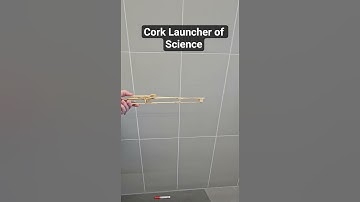 Cork Launcher of Science #science #elementary #slingshot #corklauncher #potentialenergy #stem