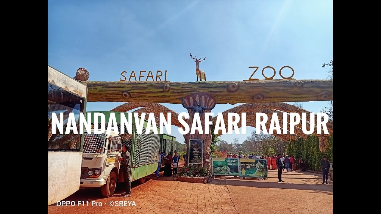 the jungle safari in raipur