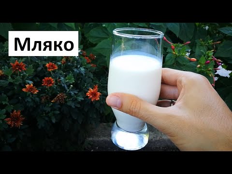 Видео: Мляко като тор - Подхранване на растенията с мляко