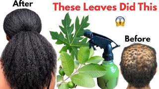 Use This Green Leaf Mix Once & Your Hair Can Never Stop Growing Real Result