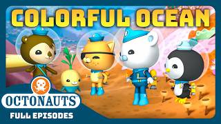 atoctonauts colorful ocean 60 mins full episodes marathon