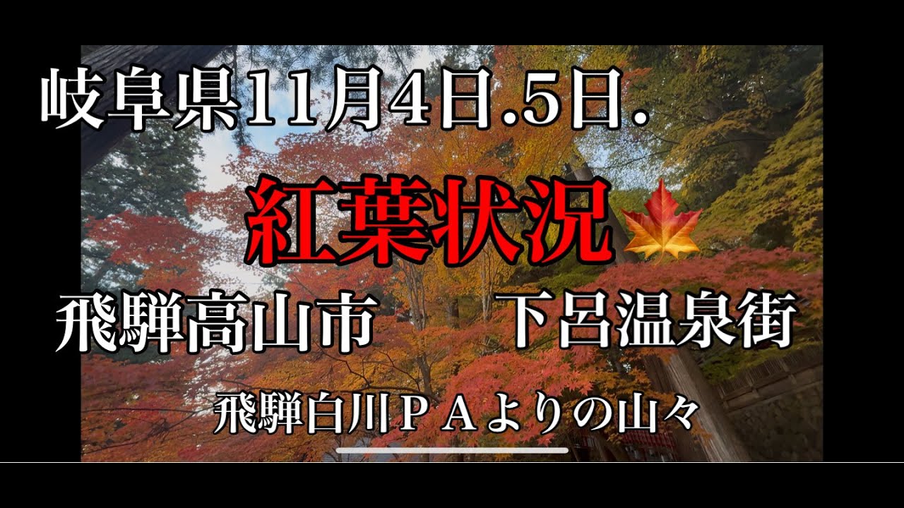 ２０２５年１１月４日　岐阜県飛騨高山・下呂温泉紅葉状況