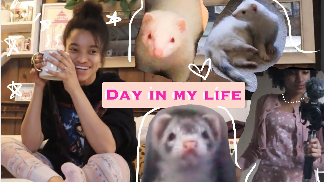 Day in Life | Playing with my Ferrets, Planning for Wedding, Barely Cleaning, OOTD