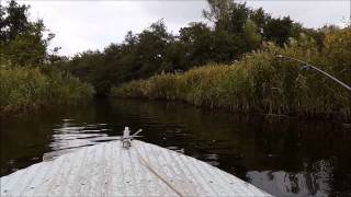 Кизомыс 2014 Кизомыс 2014