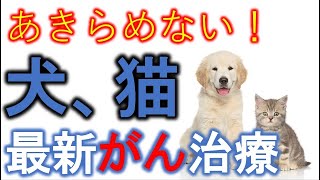 【がんの大学】廣田順子：あきらめない動物ペット（犬、猫）のがん医療（2019/03/03）