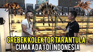 GREBEK KOLEKTOR TARANTULA RATUSAN JUTA! MASA KOLEKSI NYA CUMA ADA SATU DI INDONESIA!! screenshot 5
