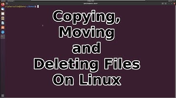 How to Copy, Move and Delete Files and Directories On Linux