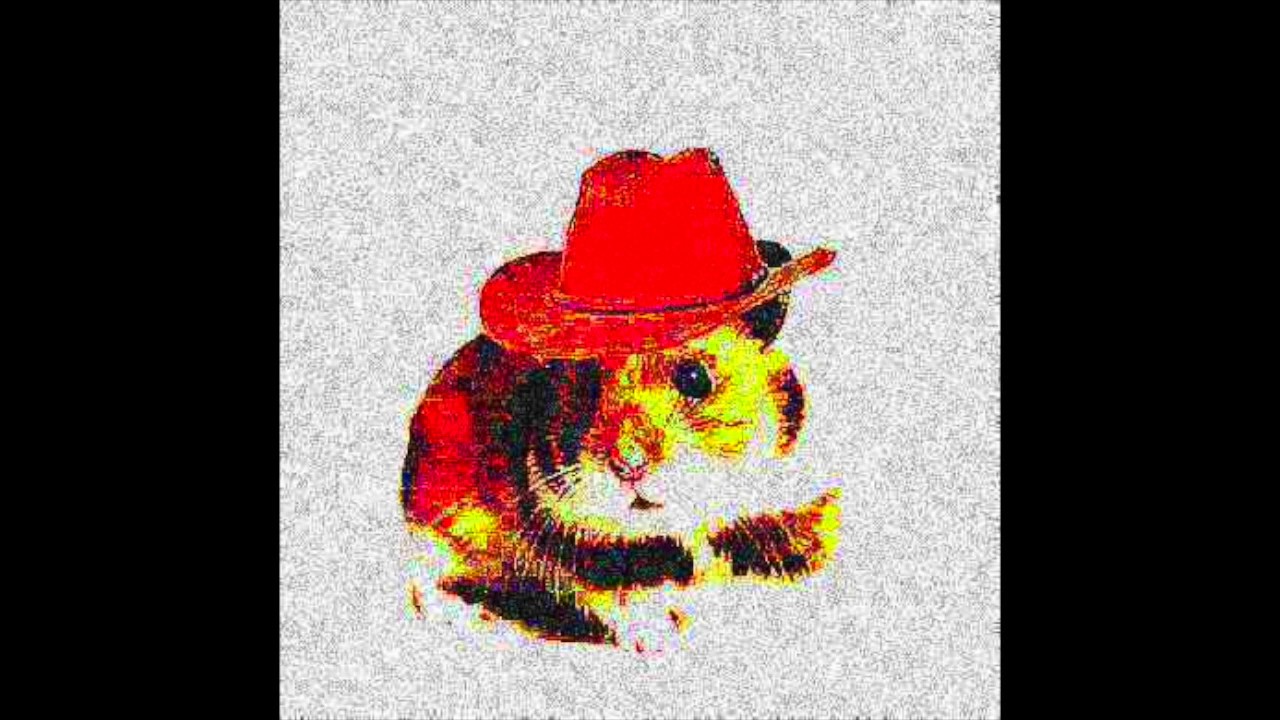 cotton eye hamster dance YouTube