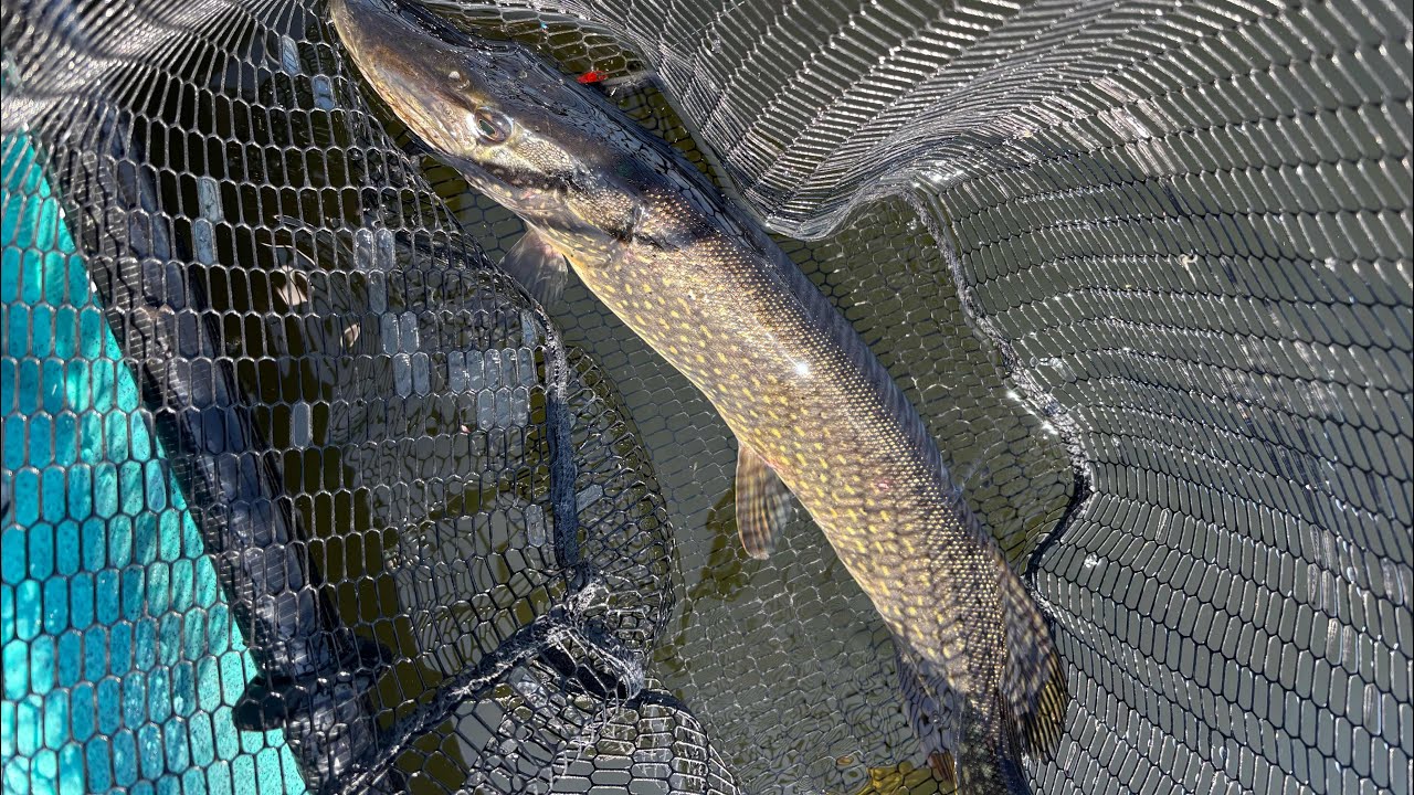 OWA 2025 Spring Event 