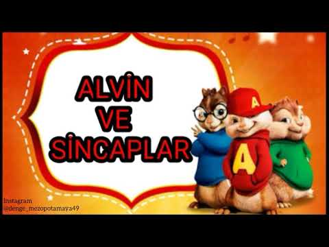 Alvin ve sincaplar HÊBİBA