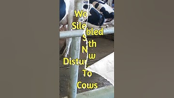 Manure Scraper by DeLaval - गोबर की सफाई