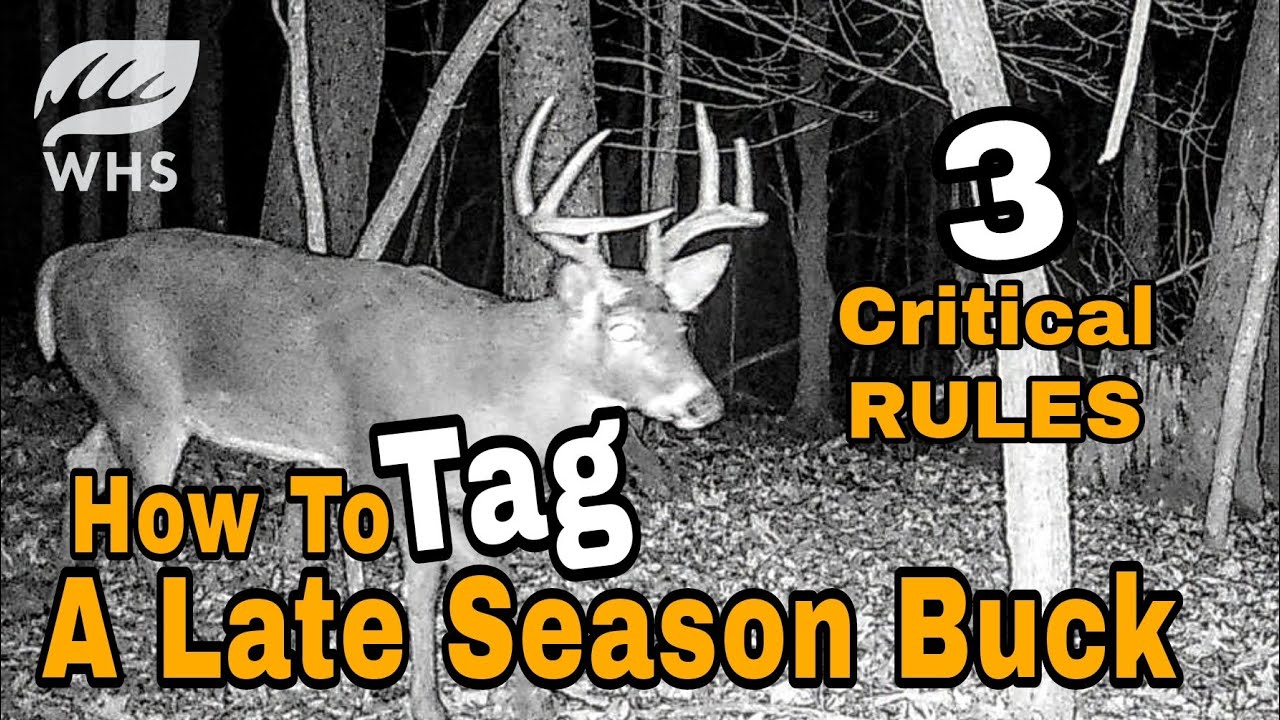 3 Proven Rules For Late Season Deer Hunting YouTube 3-proven-rules-for-late-season-deer-hunting-youtube
