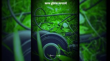 𝒜𝓈𝓈𝒶𝓂𝑒𝓈𝑒 𝒮𝑜𝓃𝑔 𝒮𝓉𝒶𝓉𝓊𝓈 𝒱𝒾𝒹𝑒𝑜 ||𝒜𝓈𝓈𝒶𝓂𝑒𝓈𝑒 𝒲𝒽𝒶𝓉𝓈𝒜𝓅𝓅 𝒮𝓉𝒶𝓉𝓊𝓈 𝒱𝒾𝒹𝑒𝑜 || 𝒜𝓈𝓈𝒶𝓂𝑒𝓈𝑒 𝒩𝑒𝓌 𝓈𝓉𝒶𝓉𝓊𝓈🖤