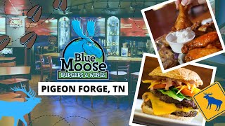 Blue Moose Burgers & Wings Review: Best Wings In The Smoky Mountains?