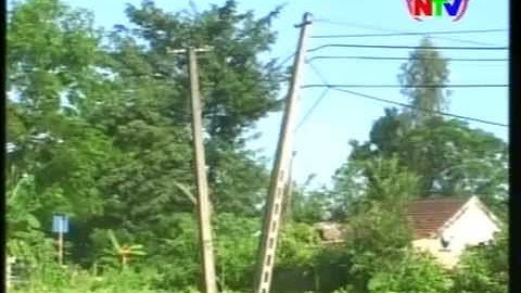 Những vi phạm hành lang lưới điện