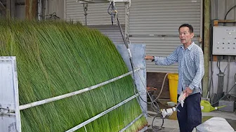 日本だけの職人技！匠の技が光る製造プロセスTOP5