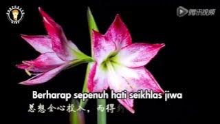 Hidup jangan terlalu letih / 活著不要太累
