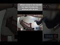 I am a new creator on youtube.
