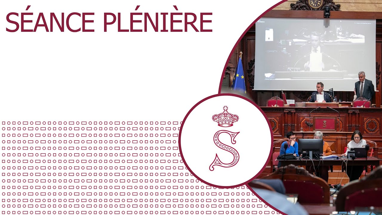 Séance plénière du Sénat de Belgique - 20/06/2025