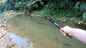 Câu cá suối buổi chiều mùa đông | Rừng đông bắc