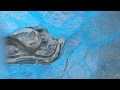 ウナギ捕ったが!次の瞬間!!