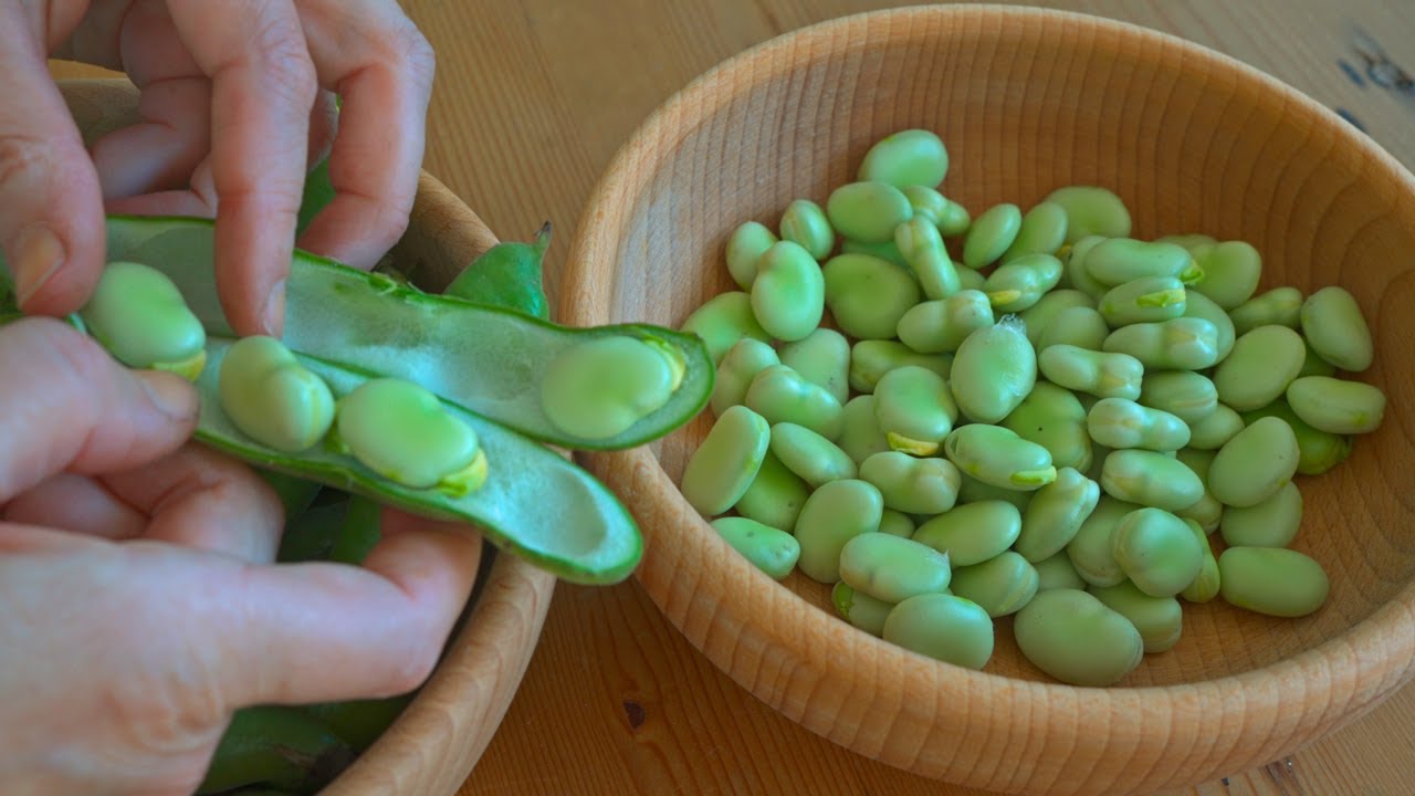 Broad Beans With Fermented Onions