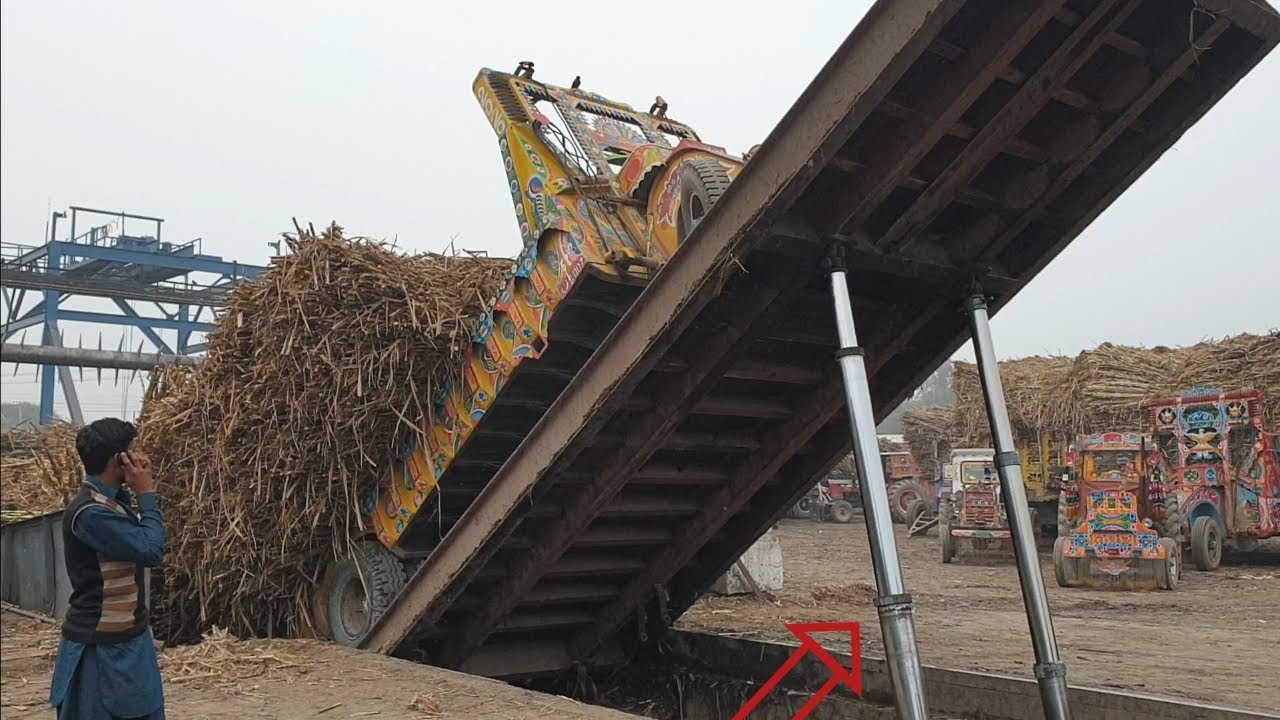 Balaras Tractor Unloading Sugarcane Tralara Chak This Hardiyalic Sestem