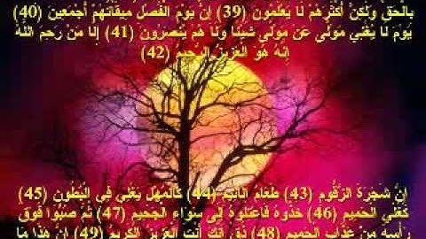 Naif El Fayçal - 38 - 50 - تلاوة رائعة - نايف الفيصل - الدخان