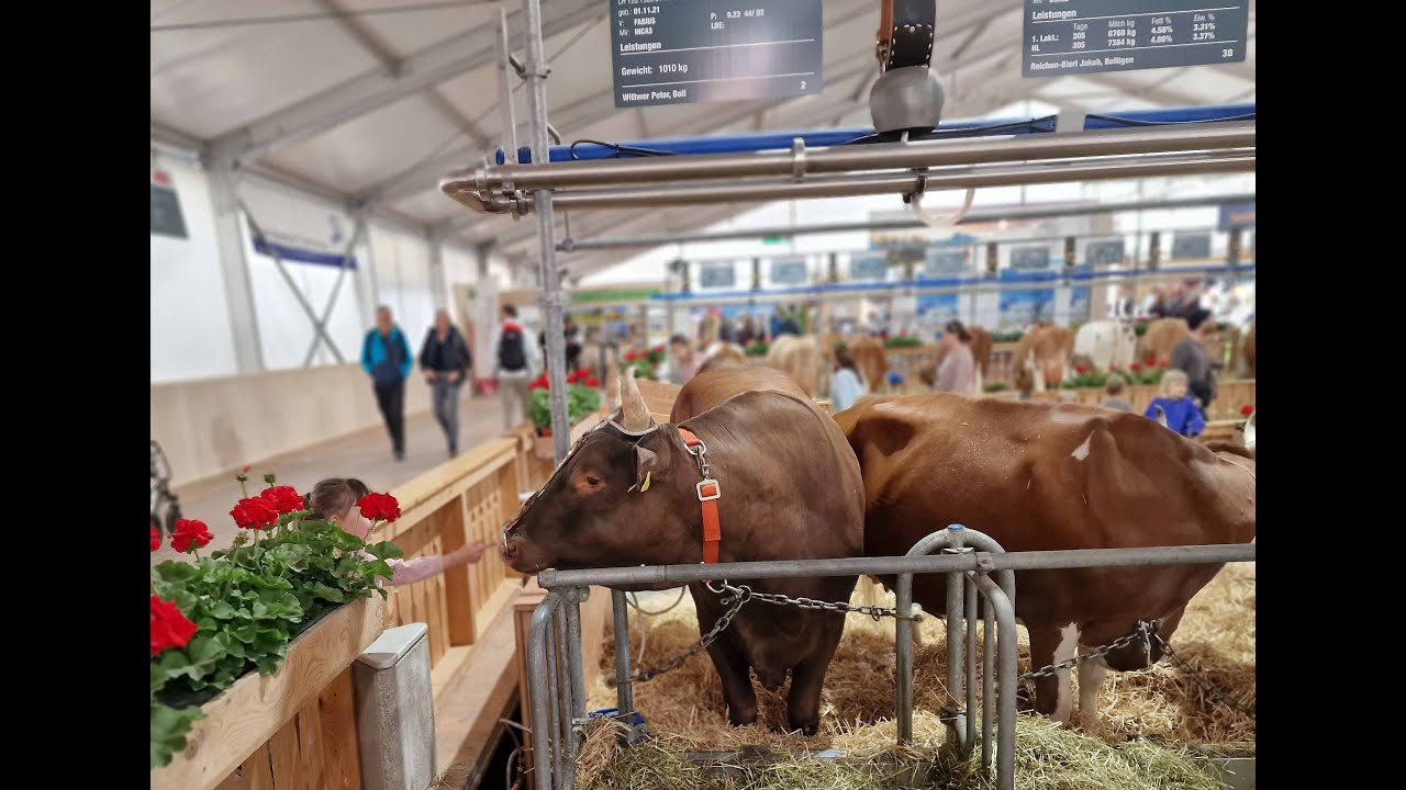 Eindrücke von der BEA