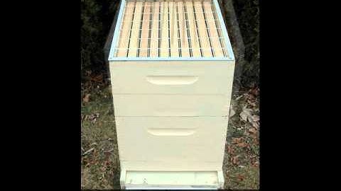 How to Set Up a Beehive for Beginner Beekeepers | Langstroth Hive & Honey Super Setup