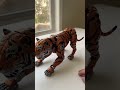 ai generate a tiger