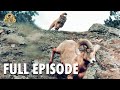 Wild america  special e3 great escapes  full episode  fangs