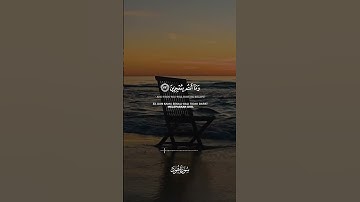 Surah Hud سورة هود / ayat 33-34