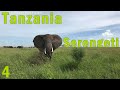 Tanzania - Safari (4/5) Awaria Samochodu i Lwie Polowanie w Parku Narodowym Serengeti [eng sub]