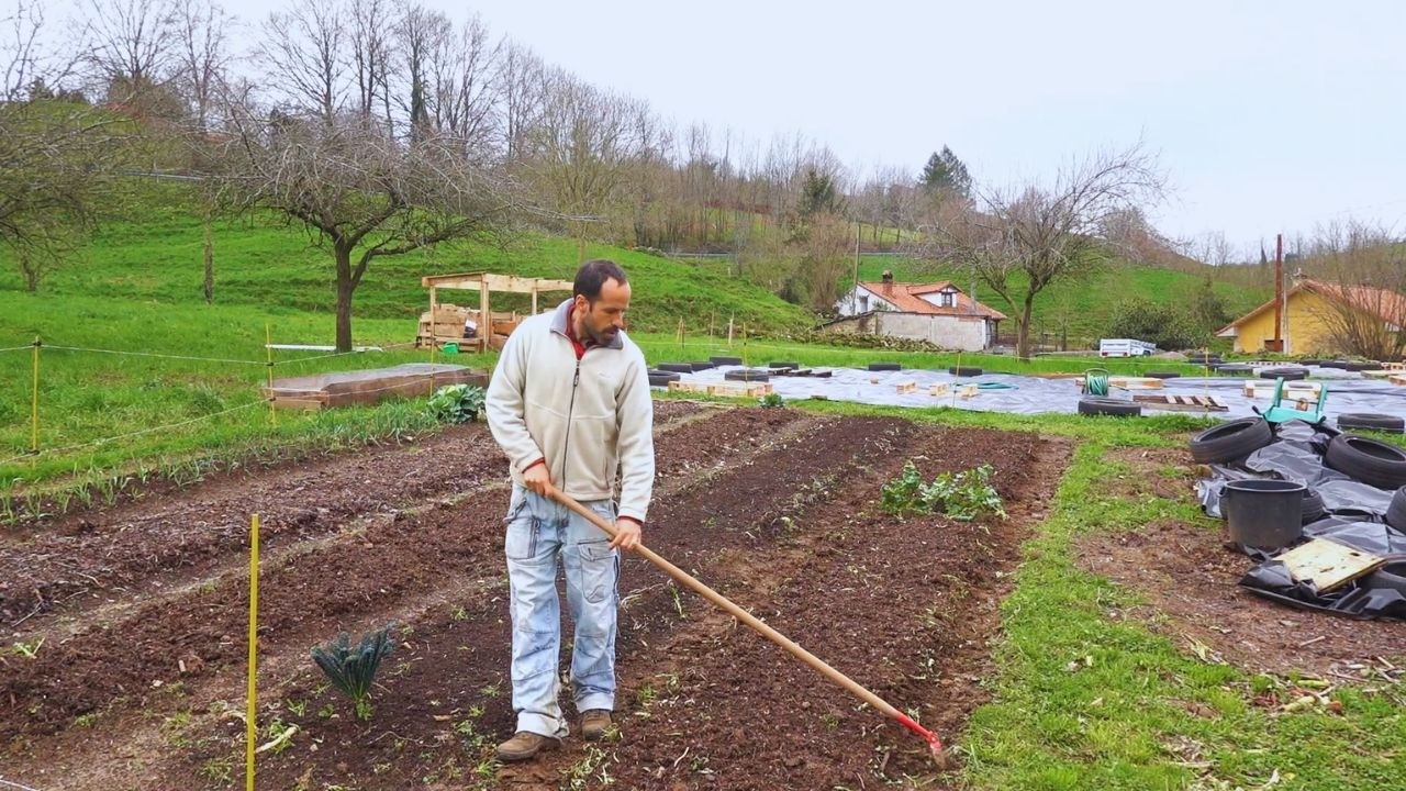 La eficiencia, un arma de doble filo... y primeras siembras directas de la temporada