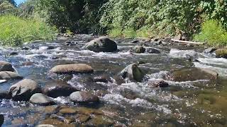 Relax with the tranquil sound of Silver Creek.
