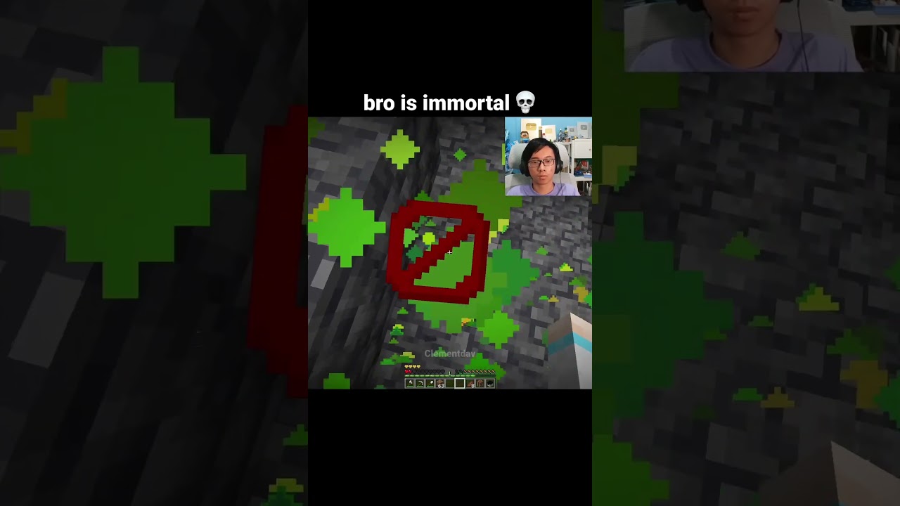 Minecraft Immortal Moment