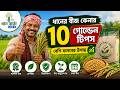 চাষি ভাই সাবধান! ধানের বীজ কেনার ১০টি গোল্ডেন টিপস বেশি ফলনের উপায়