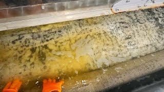 Urine Contaminated rug goes for a swim || P.O.V Rug Cleaning