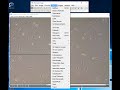 Cell counting and scale bars using ImageJ