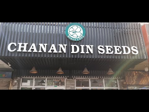 Visit to Chanan Din Seeds Shop Lahore Seeds Fertilizers and Garden Accessories Shop in Lahore