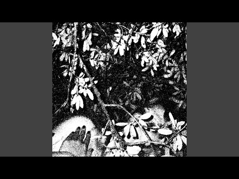 Bittersweet Interlude
