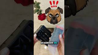 Anti Dog Device Dog Training Dog Attack