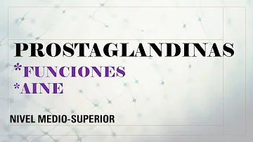 ¿Qué son las prostaglandinas y cuál es su función?