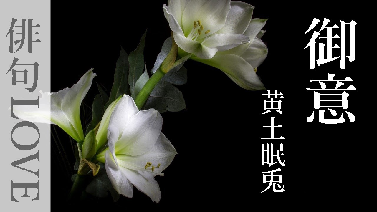 22年6月6日 御意 ぎょい 黄土眠兎 きづちみんと 俳句love 俳句 Haiku 黄土眠兎 夏の季語 Youtube