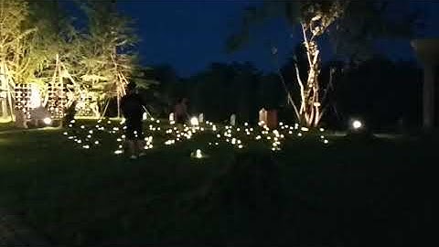 Simulation Led firefly light