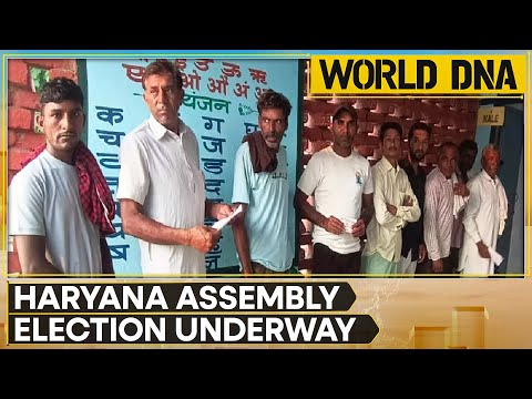 Haryana Assembly Election 2024: Voting Underway for 90 Assembly Seats | World DNA