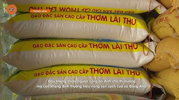 [TIẾNG GIA RAI] ỨNG DỤNG CÔNG NGHỆ TRONG SẢN XUẤT DÂU TẰM | VTV5