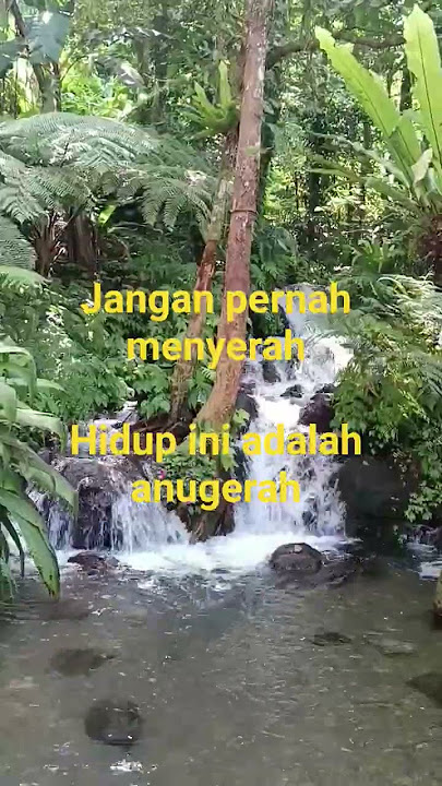 Jangan bandingkan dirimu dengan orang lain #motivasidiri #viralvideo #quotes #vidioshort