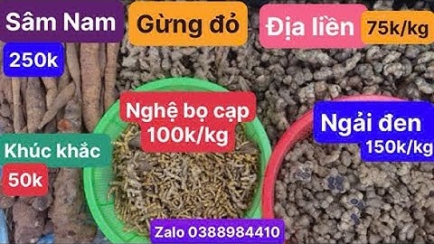 Ngải đen, gừng đỏ, sâm nam, nghệ bọ cạp, củ địa liền, khúc khắc (thổ phục linh)￼